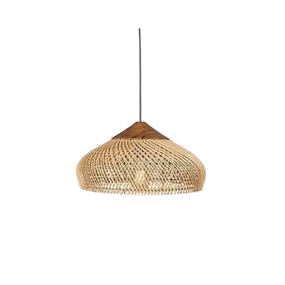 Panier Saucer rattan and wood pendant light on a white background – Maison Liane