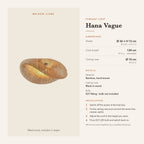 Hana Vague pendant light dimensions and installation guide – Maison Liane